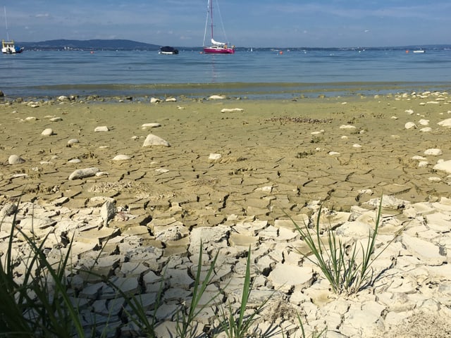 Ausgetrocknete Uferzone des Bodensees. Ausgetrocknete Uferzone des Bodensees.