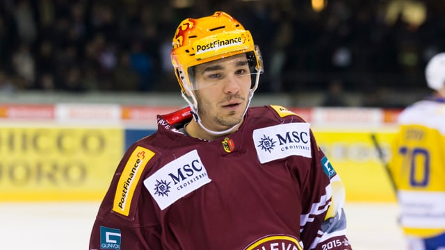 Matt D'Agostini. Matt D'Agostini.