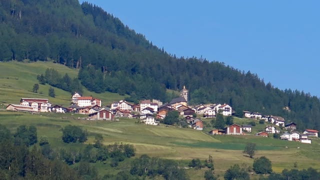 Vischnanca da Stierva. Vischnanca da Stierva.