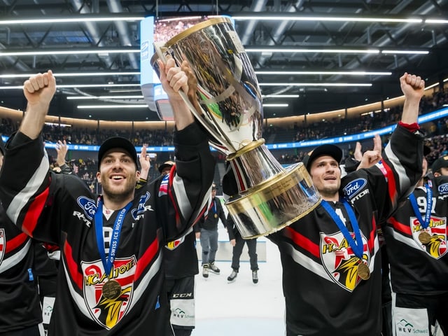 Hockeyspieler Hockeyspieler