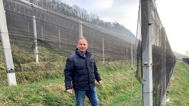 Christian Herzog ist stolz auf seinen neu terrassierten Rebberg in Thal im Kanton St. Gallen. Christian Herzog ist stolz auf seinen neu terrassierten Rebberg in Thal im Kanton St. Gallen.