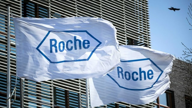 Roche logo. Roche logo.