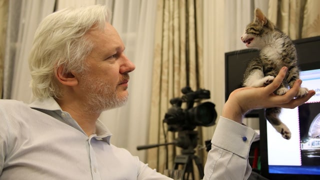 Julien Assange & Büsi Julien Assange & Büsi