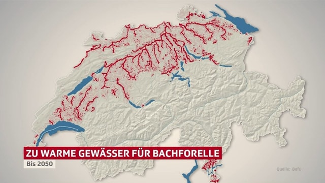 Grafik mit Schweizer Karte. Die Flüsse im Mittelland sind rot eingefärbt. Grafik mit Schweizer Karte. Die Flüsse im Mittelland sind rot eingefärbt.