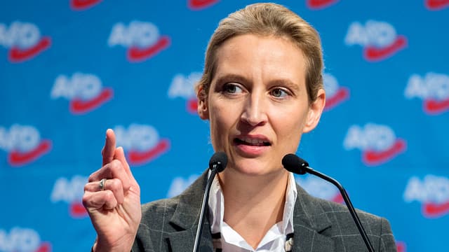 Alice Weidel in Mikrofone sprechend. Alice Weidel in Mikrofone sprechend.