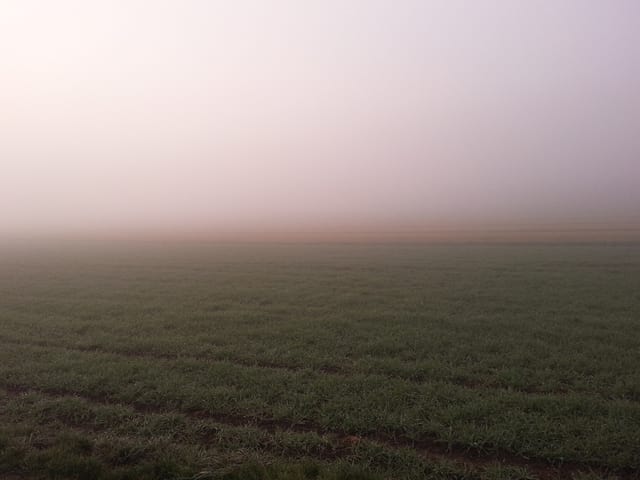Eine grüne Wiese und Nebel.