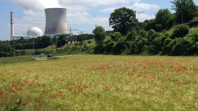 Atomkraftwerk Leibstadt und im Vordergrund ein Getreidefeld. Atomkraftwerk Leibstadt und im Vordergrund ein Getreidefeld.