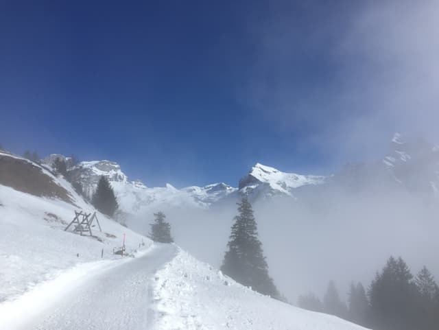 Bis zur Mittelstation steckte man im Nebel, darüber gab es Sonne.
