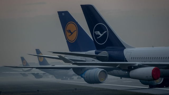 Aviuns da la Lufthansa Aviuns da la Lufthansa