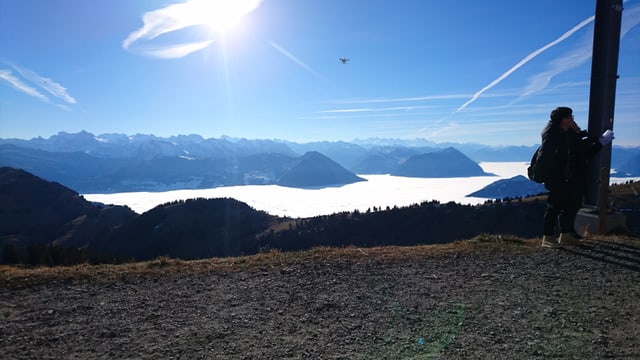 Auf der Rigi ist kein Flecken Schnee zu sehen. Auf der Rigi ist kein Flecken Schnee zu sehen.