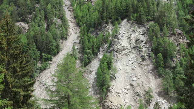 Lawinenniedergang und Steinschlag reissen Bäume mit. Lawinenniedergang und Steinschlag reissen Bäume mit.