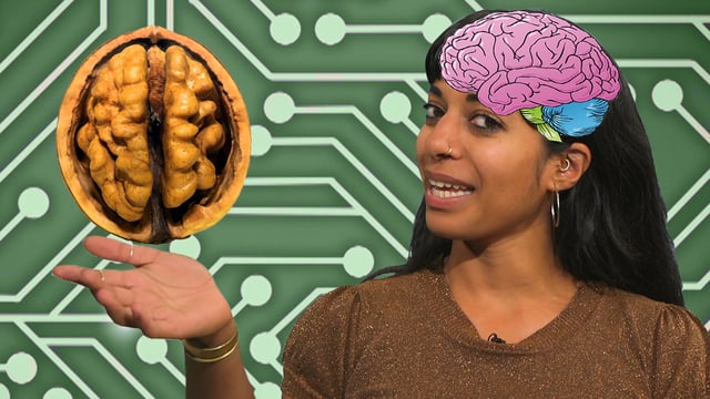 Video «Wie funktioniert unser Gehirn? | Clip und klar! - Dein Erklärvideo» abspielen Video «Wie funktioniert unser Gehirn? | Clip und klar! - Dein Erklärvideo» abspielen