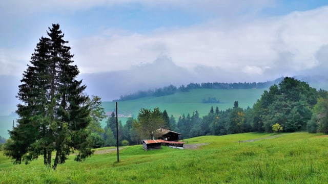 Hochnebelartige Wolken lagen am Sonntagvormittag über dem Eigenthal. Hochnebelartige Wolken lagen am Sonntagvormittag über dem Eigenthal.