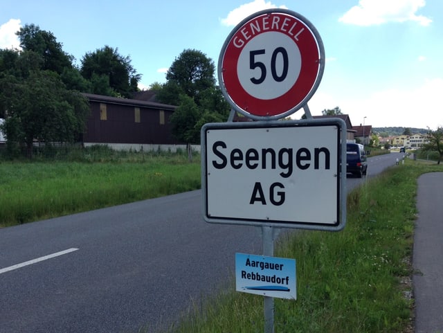Ortsschild Seengen Ortsschild Seengen