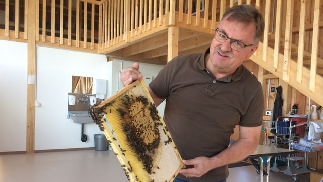 Imker hält Bienenwabe in der Hand. Er steht im Bienenhaus drinnen. Imker hält Bienenwabe in der Hand. Er steht im Bienenhaus drinnen.