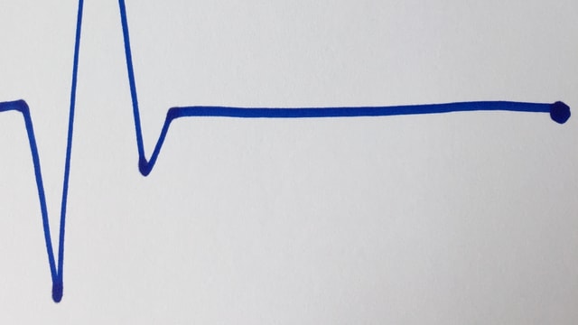 EKG-Diagramm mit Herzstillstand gezeichnet von Annette König EKG-Diagramm mit Herzstillstand gezeichnet von Annette König