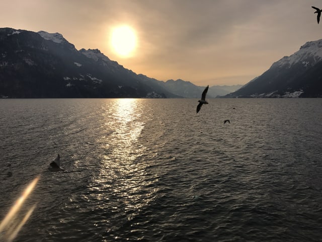 Brienzersee in der Abendstimmung