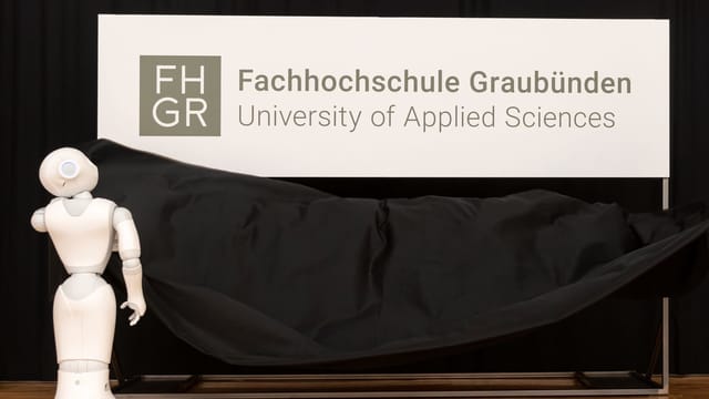 Logo wird enthüllt Logo wird enthüllt