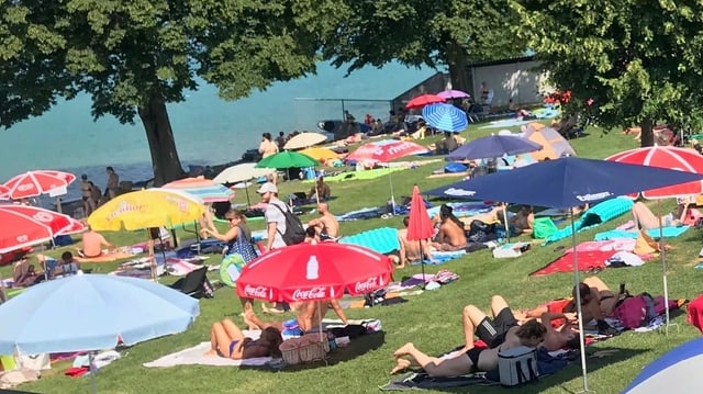 Personen mit Sonnenschirmen auf Liegewiese Personen mit Sonnenschirmen auf Liegewiese