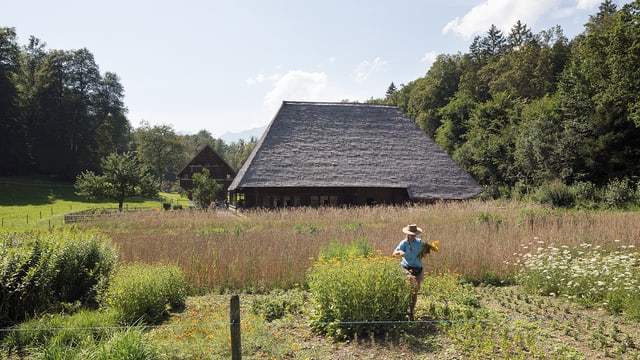 Ein Mann auf einem Feld vor einem traditionellen Haus. Ein Mann auf einem Feld vor einem traditionellen Haus.