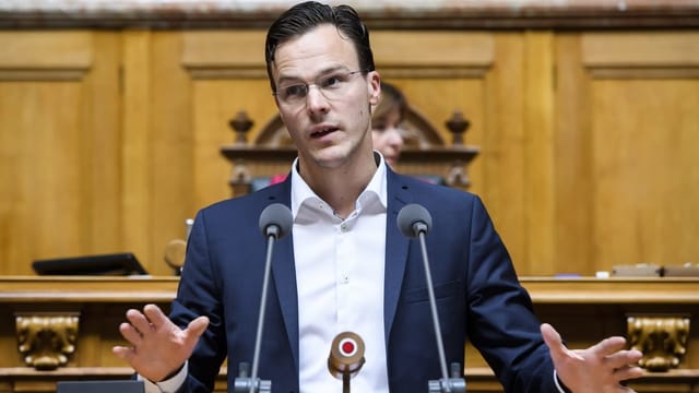 Purtret da Bastien Girod. Purtret da Bastien Girod.