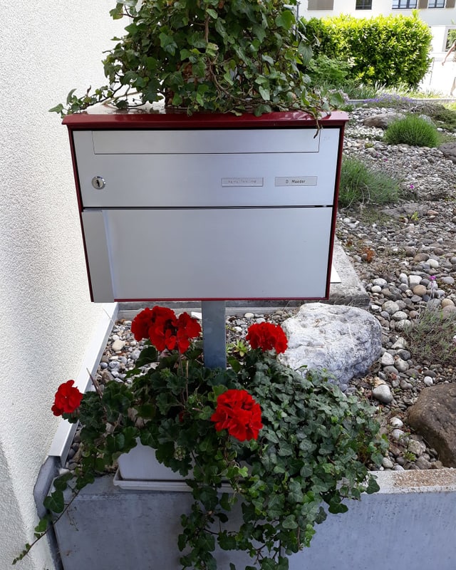 Blumen am Sockel eines Briefkastens.