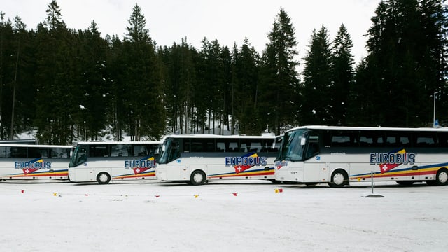 Vier Eurobusse auf einem schneebedeckten Parkplatz in der Lenzerheide. Vier Eurobusse auf einem schneebedeckten Parkplatz in der Lenzerheide.