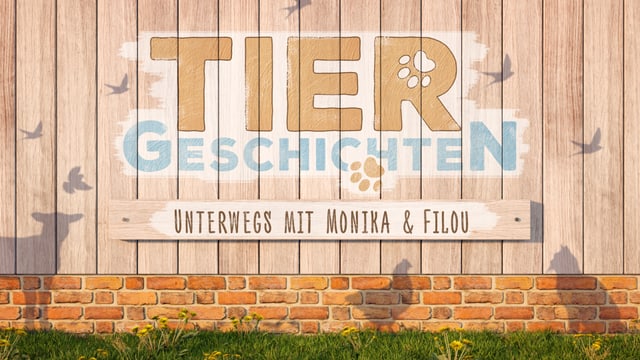 Hinweis: «Tiergeschichten» fällt aus Hinweis: «Tiergeschichten» fällt aus