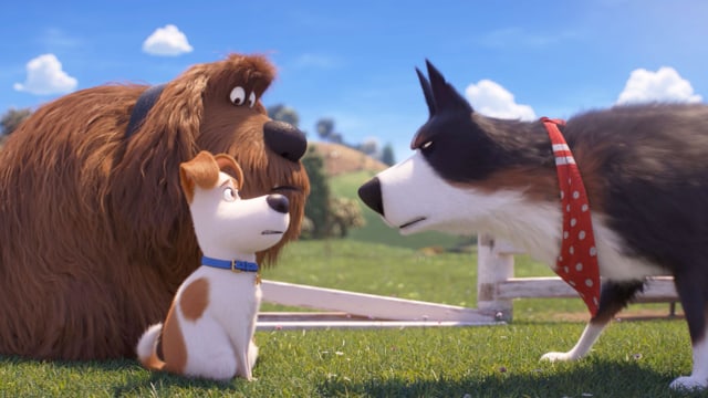 Drei animierte Hunde. Ein grosser, zotteliger und ein kleiner Terrier sitzen einem Schäferhund gegenüber. Drei animierte Hunde. Ein grosser, zotteliger und ein kleiner Terrier sitzen einem Schäferhund gegenüber.