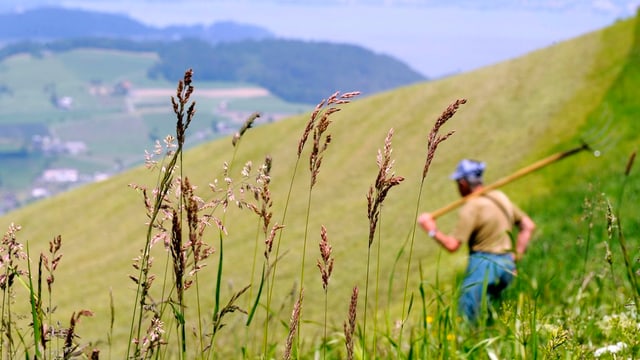 Der Kanton Bern hat plötzlich 10 Prozent mehr Kleinbauern (02.06.2016)