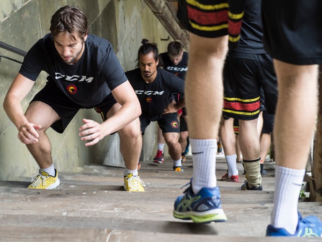 Treppenfitness Treppenfitness