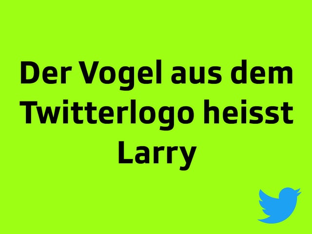 Texttafel: Der Vogel aus dem Twitterlogo heisst Larry