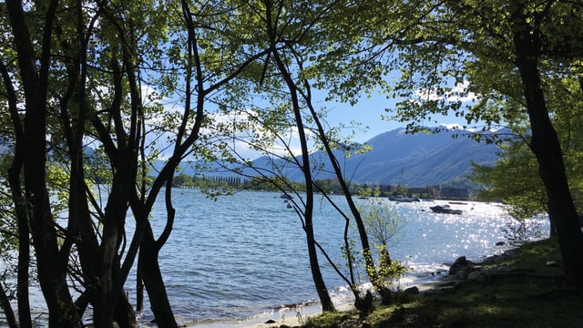 Im Tessin gab es mit Nordföhn auch längere sonnige Phase, so auch am 24. April. Im Tessin gab es mit Nordföhn auch längere sonnige Phase, so auch am 24. April.