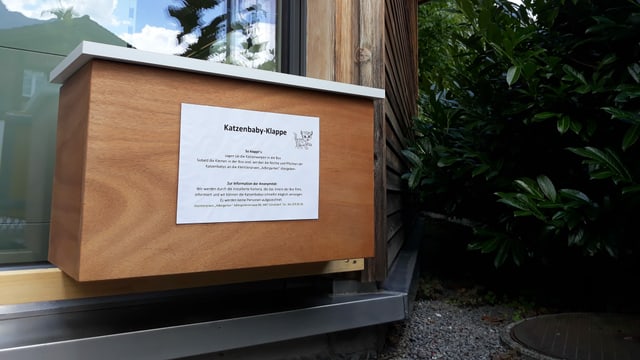 Katzenbaby-Klappe Katzenbaby-Klappe