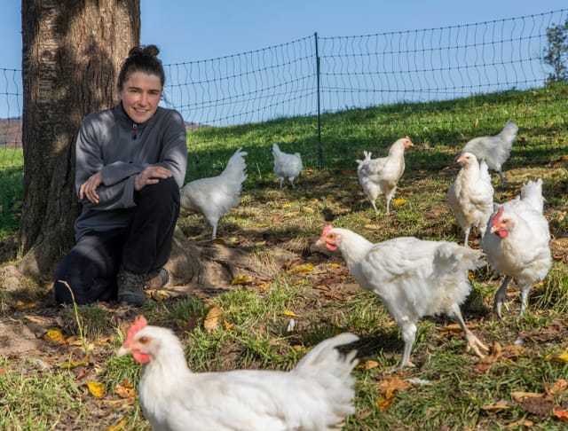 eine Frau sitzt in einer Wiese, vor einem Baum, schaut in die Kamera und um sie herum laufen weisse Hühner herum eine Frau sitzt in einer Wiese, vor einem Baum, schaut in die Kamera und um sie herum laufen weisse Hühner herum