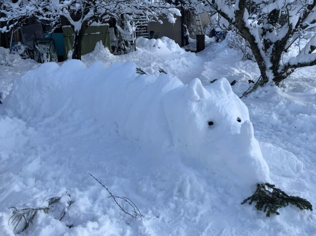 Ein ungefährlicher Schnee-Drachen