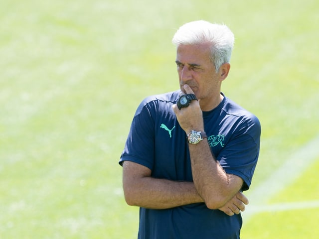 Nati-Trainer Vladimir Petkovic. Nati-Trainer Vladimir Petkovic.