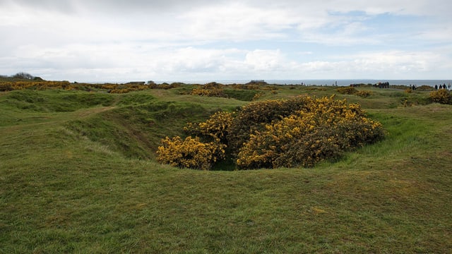 Aus einem dreissig Meter breiten Bombenkrater wachsen gelb blühende Büsche in der Normandie. Aus einem dreissig Meter breiten Bombenkrater wachsen gelb blühende Büsche in der Normandie.