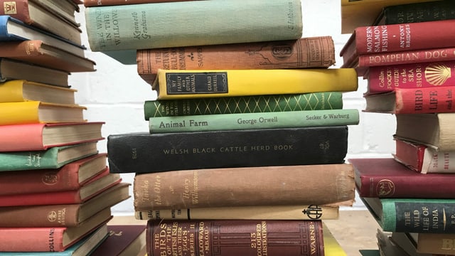 Bücher Bücher
