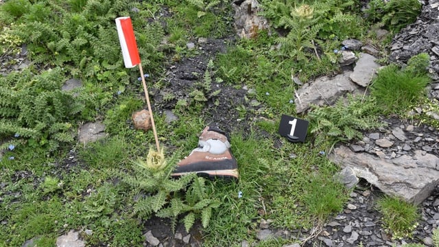 Ein Wanderschuh im Gras. Ein Wanderschuh im Gras.