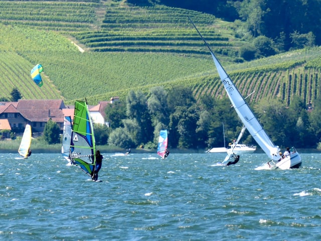 Viel los auf dem See. Viel los auf dem See.