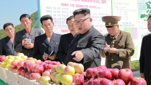 Kim umgeben von mehreren Männern, einige notieren eifrig in kleine Büchlein, sie stehen vor Kisten mit frisch geernteten Äpfeln.. Kim umgeben von mehreren Männern, einige notieren eifrig in kleine Büchlein, sie stehen vor Kisten mit frisch geernteten Äpfeln..