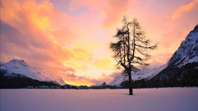 Winterstimmung bei Sils im Engadin. Winterstimmung bei Sils im Engadin.