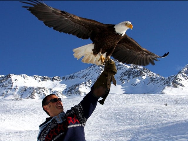 Jacques-Olivier Travers mit seinem Adler Sherkan. Jacques-Olivier Travers mit seinem Adler Sherkan.