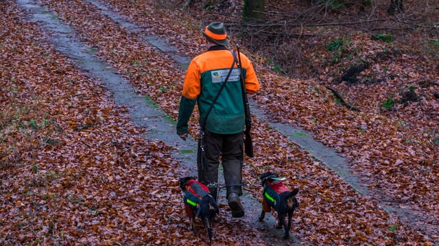 Ein Mann mit zwei Hunden. Ein Mann mit zwei Hunden.