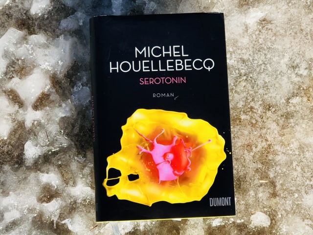 «Serotonin» von Michel Houellebecq liegt auf eisigem Untergrund «Serotonin» von Michel Houellebecq liegt auf eisigem Untergrund