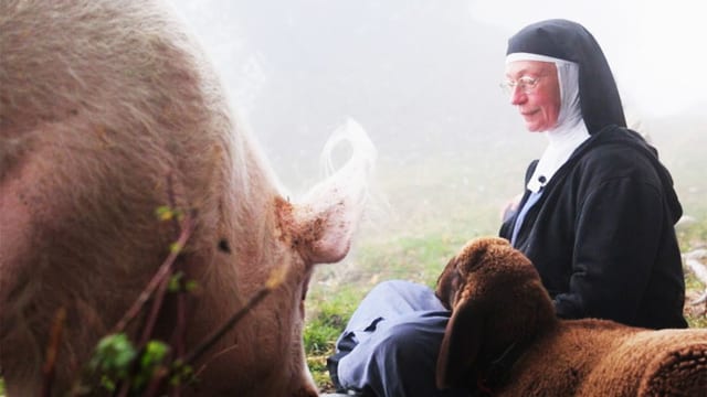Video «MediTIERE! Tierische Meditationen» abspielen Video «MediTIERE! Tierische Meditationen» abspielen