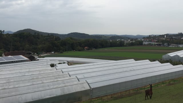 Blick von oben auf einen Betrieb Blick von oben auf einen Betrieb