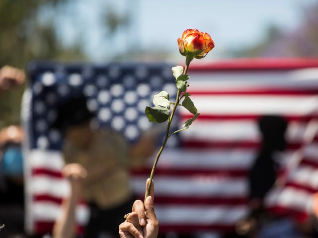 Hand mit Rose vor US-Flagge. Hand mit Rose vor US-Flagge.