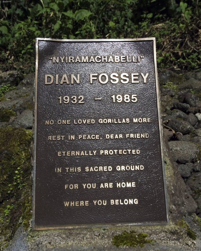 Der Grabstein von Dian Fosseys beim Karisoke Research Center in Ruanda. Der Grabstein von Dian Fosseys beim Karisoke Research Center in Ruanda.